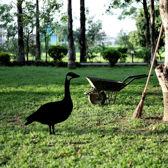 Aberto Design Goose 01 Negro